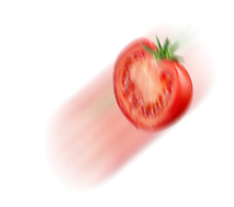 ct-path.png