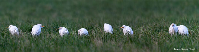 HGB groupe JPN 29dec25.jpg