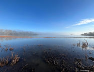 Brouillard etg Vieux 2fev26_1.jpg