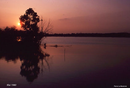 coucher soleil mai 1980.jpg