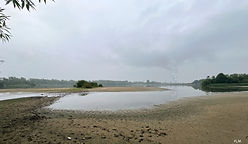 Vue etang Vieux 17juil25_1.jpg
