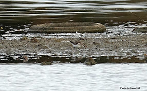 Becasseau minute 10nov25_6.jpg