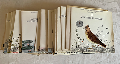 27 vinyls Jean Roché.png