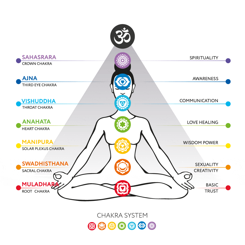 The Chakra System (From: The Yoga Nomads)