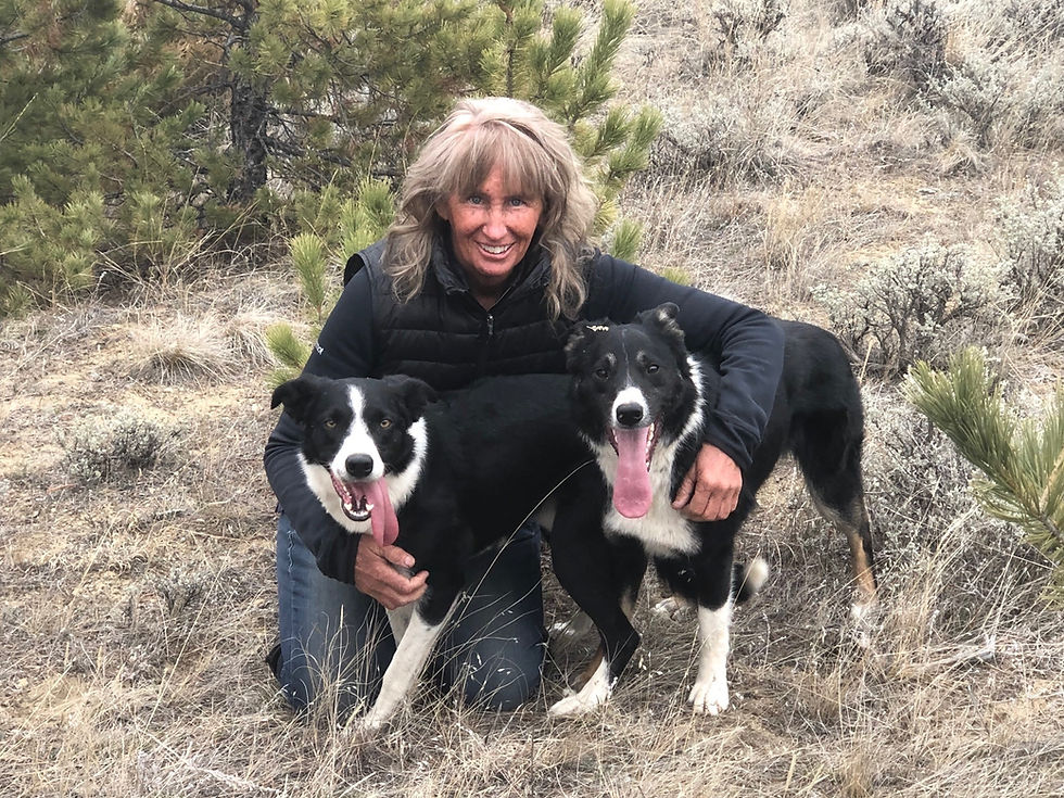 Remembering Our Friend, Wendy Spencer