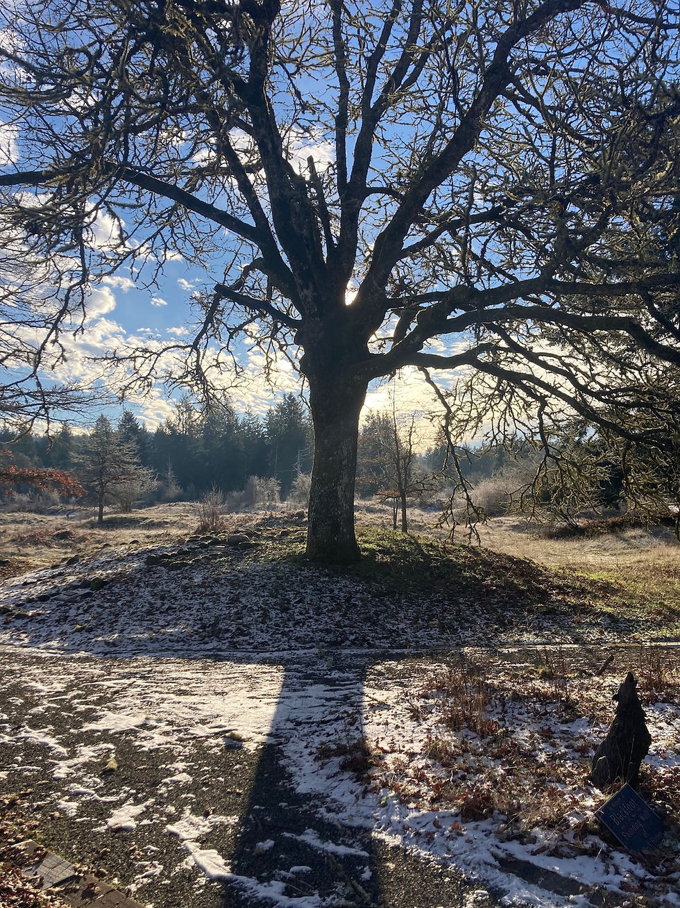 Sanctuary For Everyone