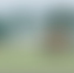 Building a Treehouse for the Future of Wolves