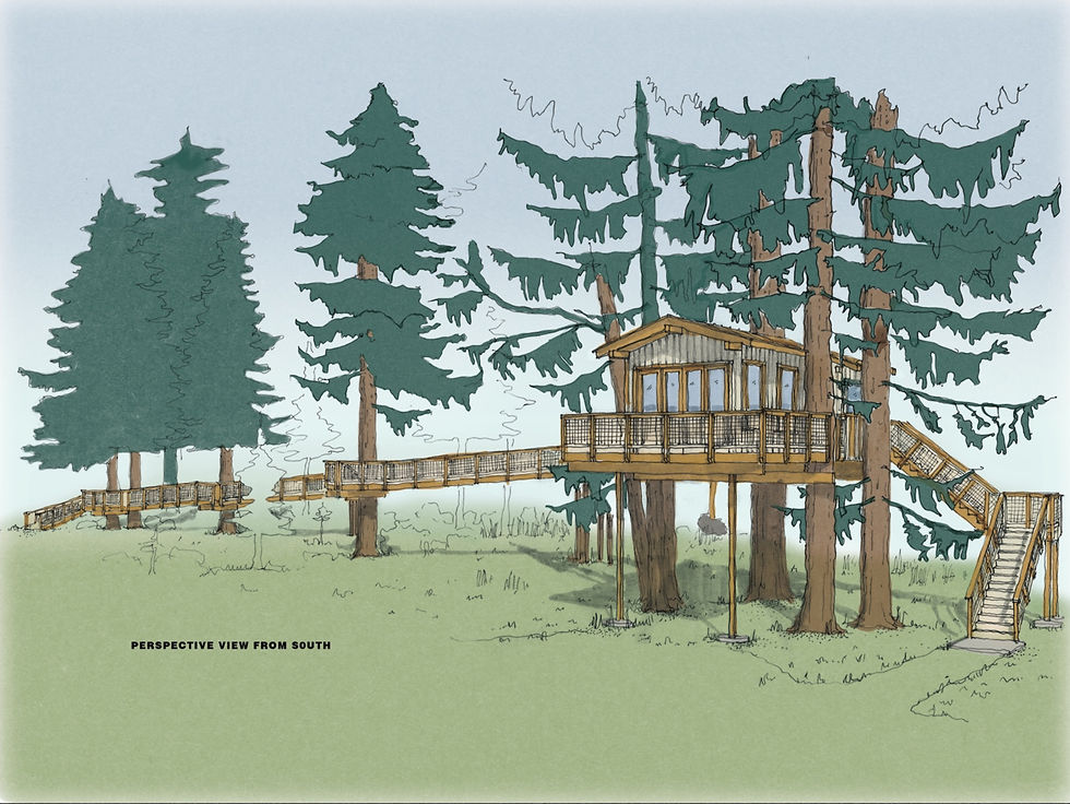 Rendering of Wolf Haven's new treehouse learning center