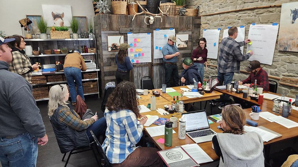 From Pressure Points to Possibilities: Insights from the Wolf Wise Communities Forum
