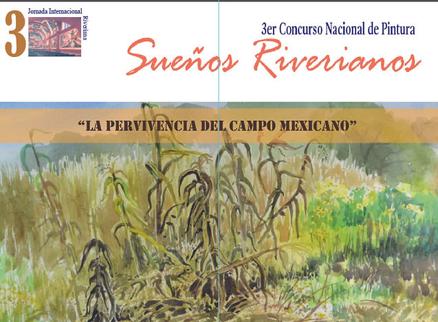 cintilla Concurso.jpg