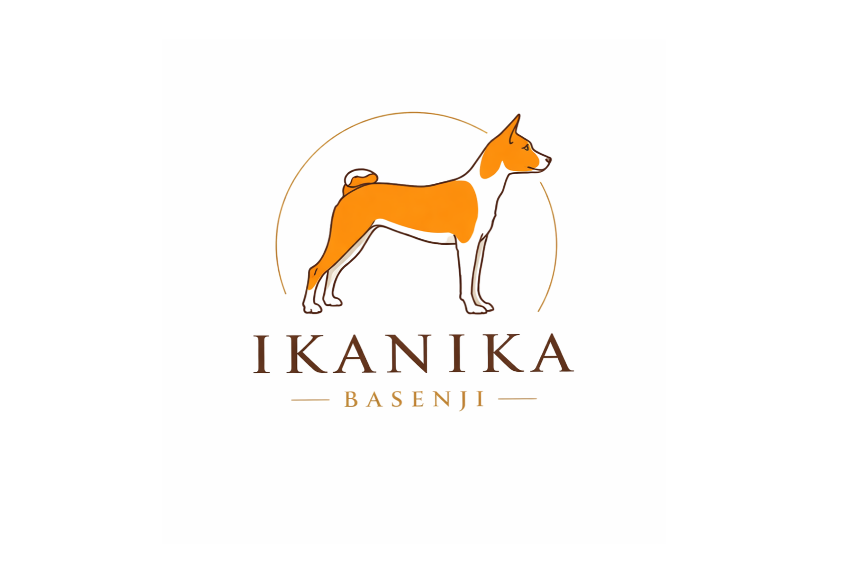 Immagine del redattore: IKANIKA Basenji Kennel
