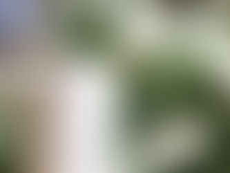 Scent your wedding venue. How to create a memorable wedding day, with fragrance.