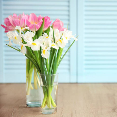 The best wax melts to enhance your home. Spring 2023.