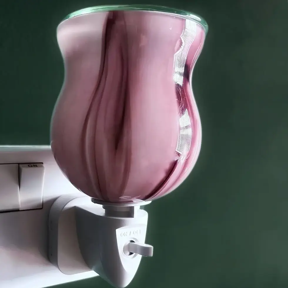 plug in wax melt warmer/burner plugged into a wall socket.