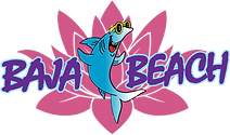 logo.png