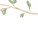 ramo de folhas 1.png