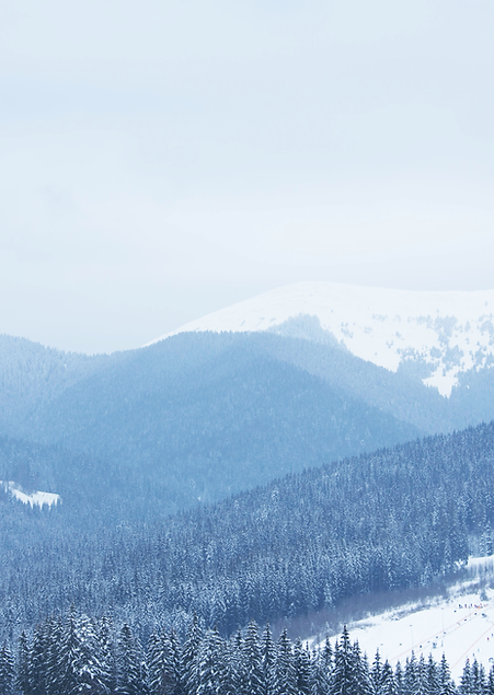 verschneite Berglandschaft