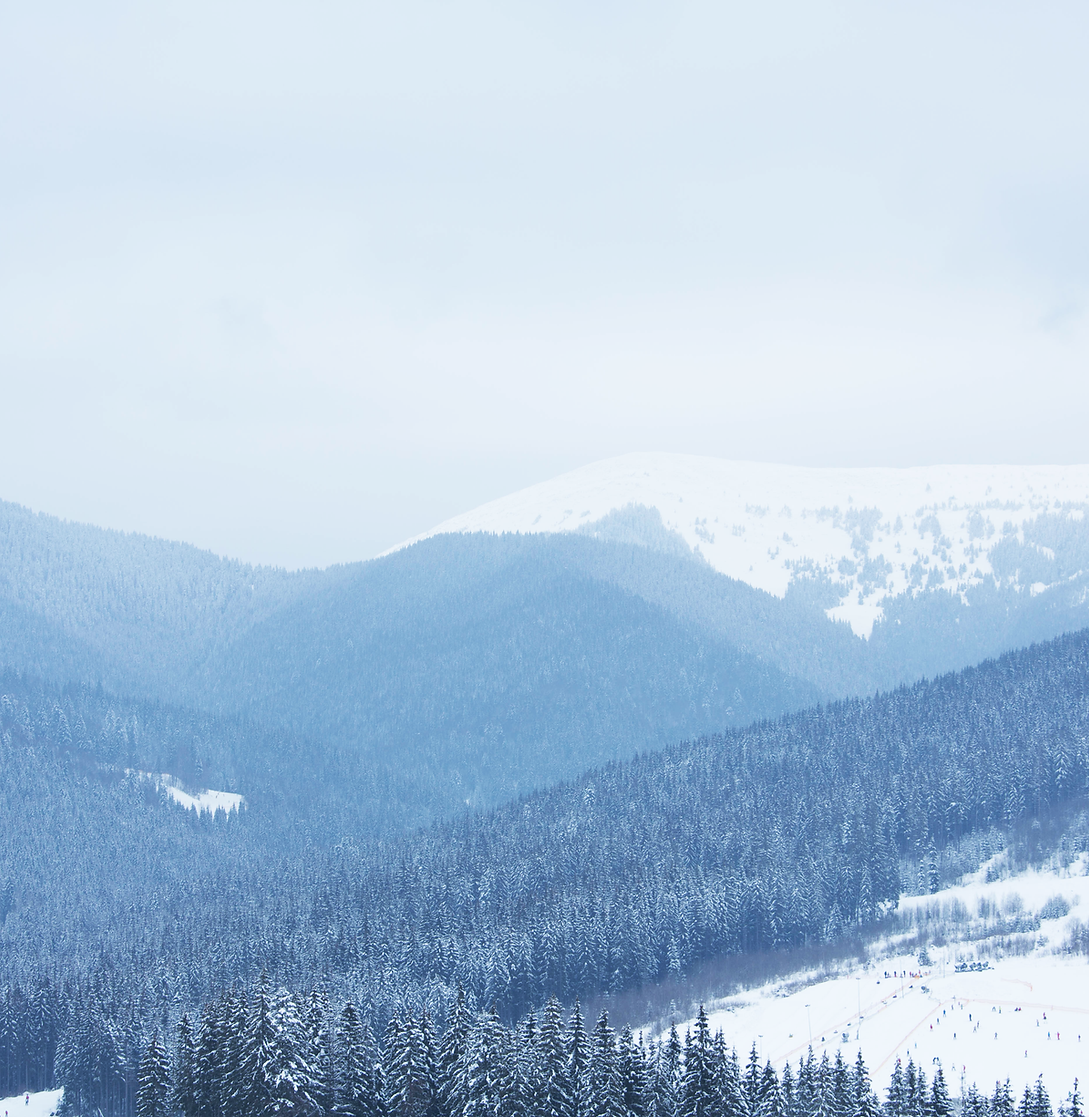 Ski Resort Landscape