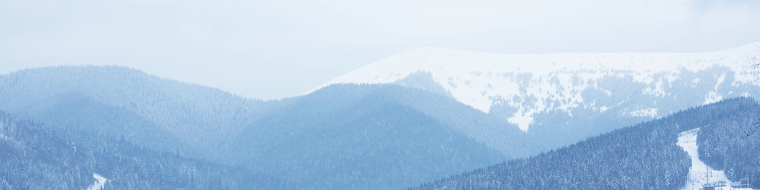 Ski Resort Landscape