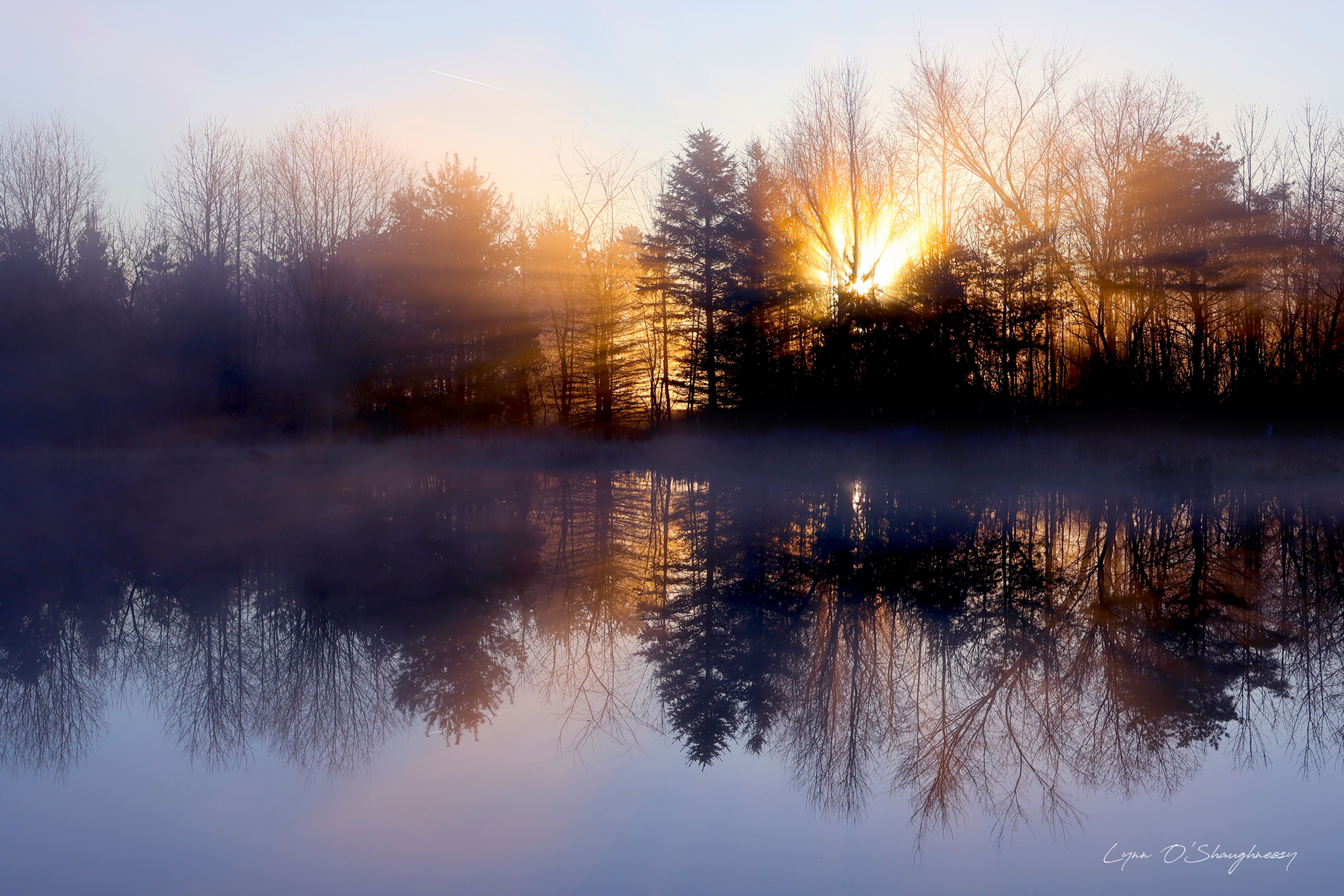 New Beginning/Howell, MI, Lynn O'Shaughnessy