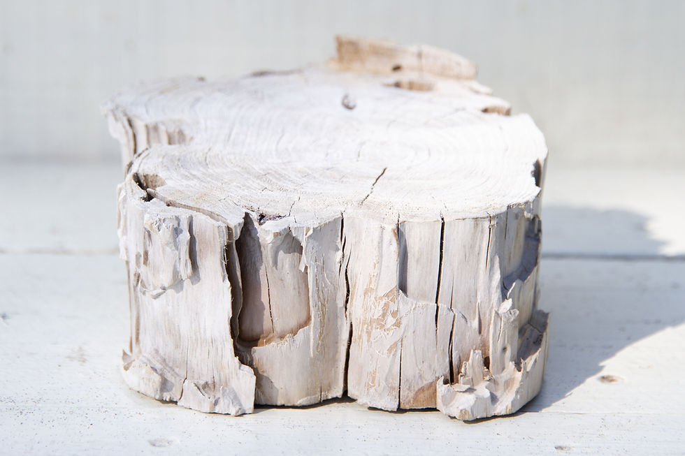 Thumbnail: Glass Float Driftwood Holder