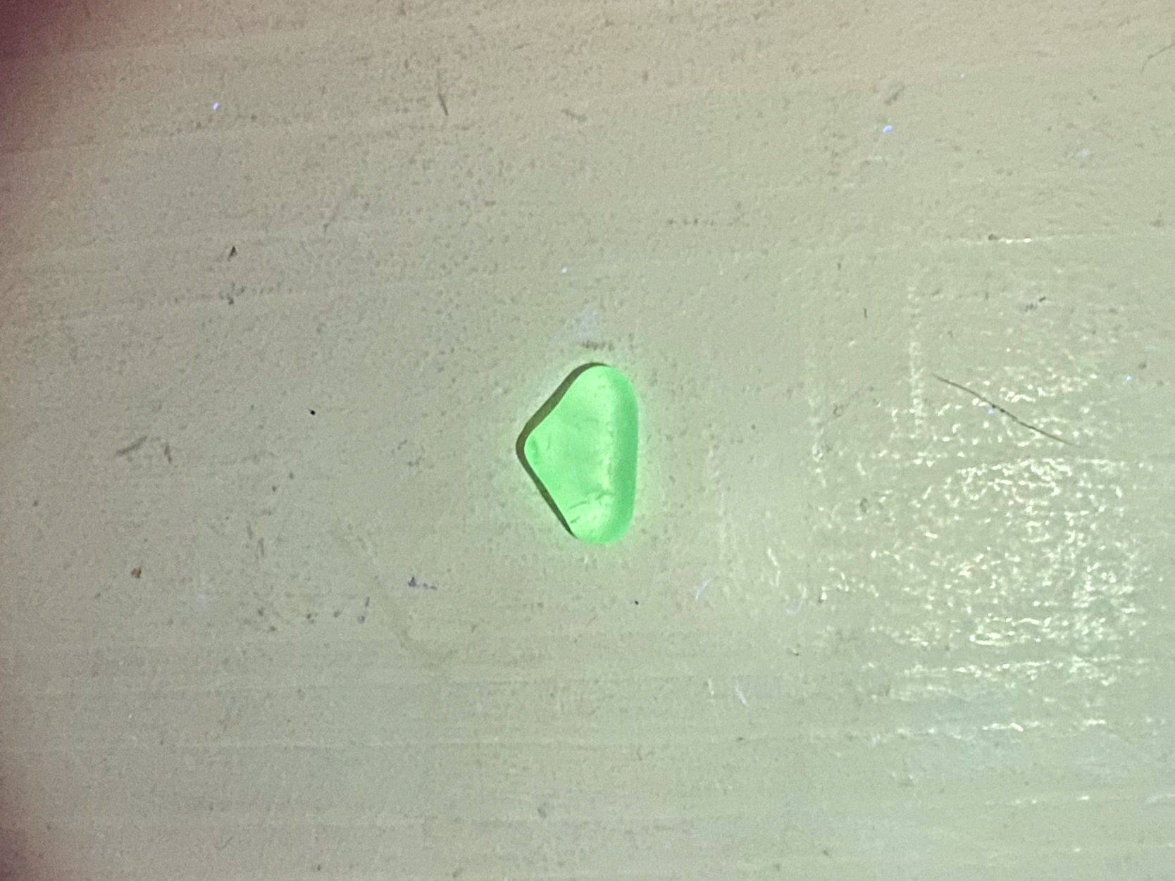 UV Delight - MY26-20