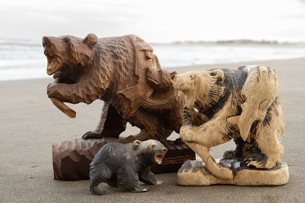 Hokkaido Bears on beach