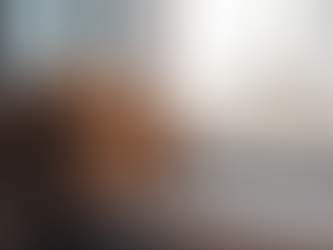 Keeping Your Dog Happy While You're Away !