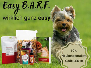 BARFEN mal ganz EASY