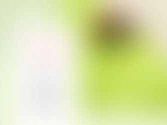 Zeckenschutz Hund: Der große Vergleich – Isoxazoline, Spot-on und natürliche Alternativen 