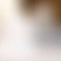 „Ich habe meinen Hund krank gefüttert" – was falsche Ernährung wirklich anrichten kann