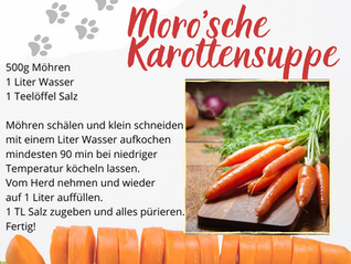 MORO'SCHE MÖHRENSUPPE bei Durchfall