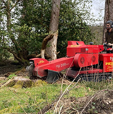 stump grinding wales