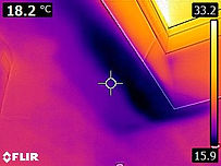 Flir image 3