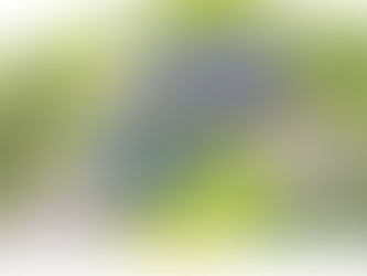 Cepel vai construir casa inteligente com tecnologias fotovoltaicas