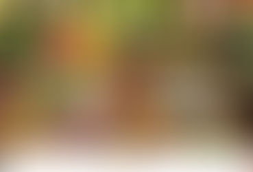 Fruticultura catarinense Itaberry investe em energia solar