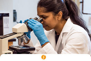 Cepel inaugura laboratório de sistemas fotovoltaicos