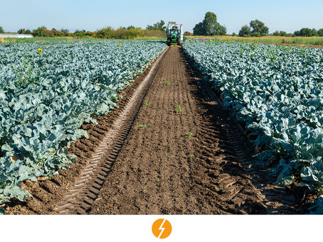 Agronegócio aposta em energia solar para ganhar competitividade