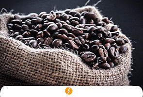 Pesquisa aponta que cafeína melhora o rendimento das células que absorvem a luz solar