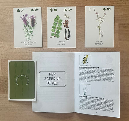 Carte da gioco botaniche
