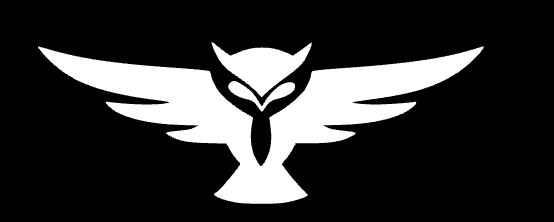 Own the Night Productions owl logo