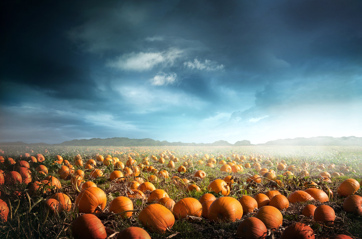 AdobeStock_288475490.jpeg