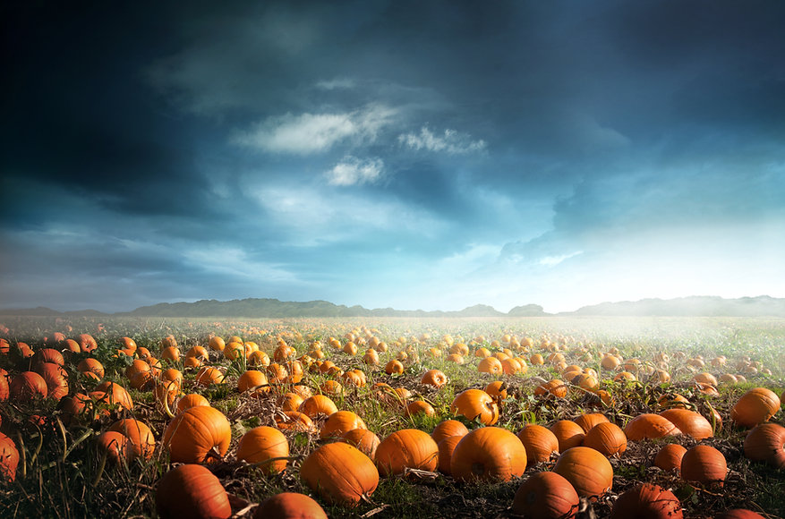 AdobeStock_288475490.jpeg