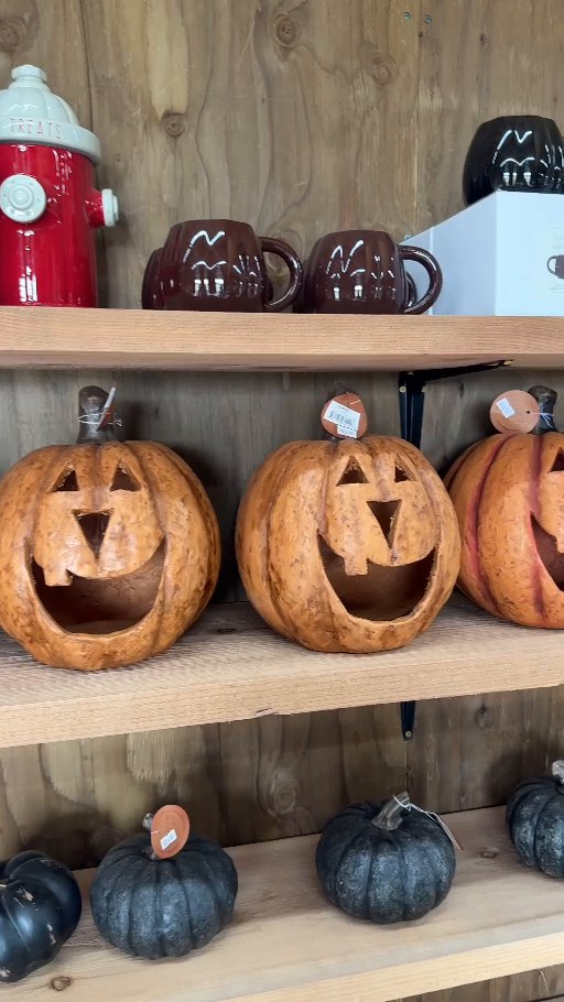 Pumpkin decorations in the General Store