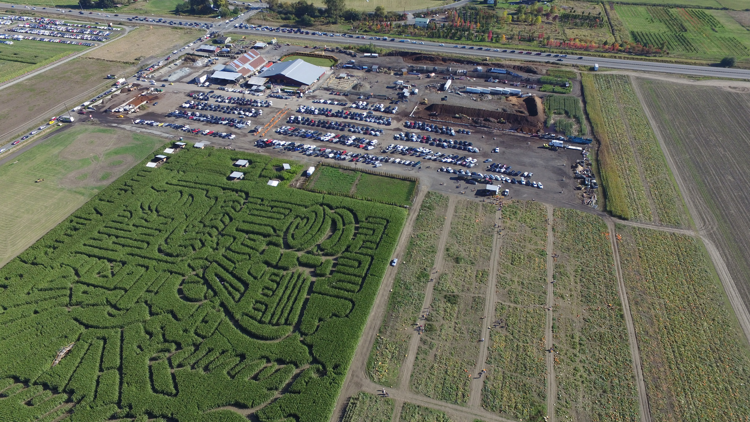 Thomas Family Farm | Agritourism and Event Venue | Snohomish