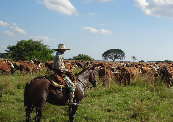 gaucho-1414772_1280.jpg