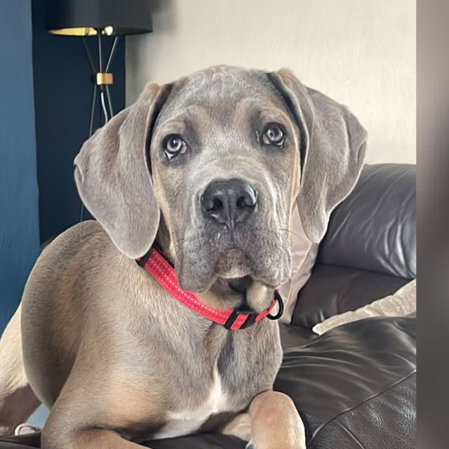 Rain at five months - not too mouthy now!