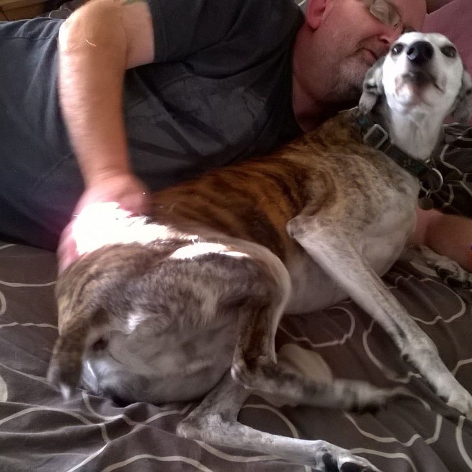 Matias out Spanish Galgo - he stayed forever