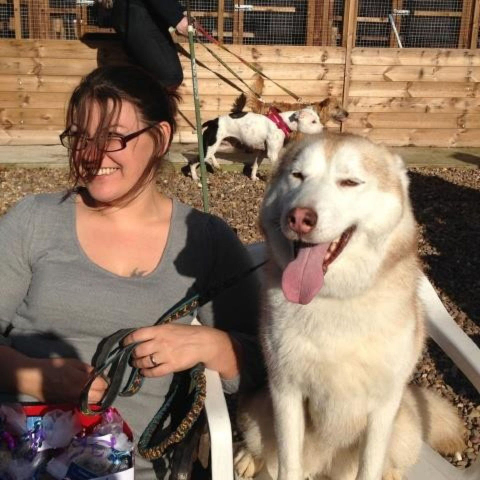 Nikita Husky helping raise funds for Helping Yorkshire Poundies