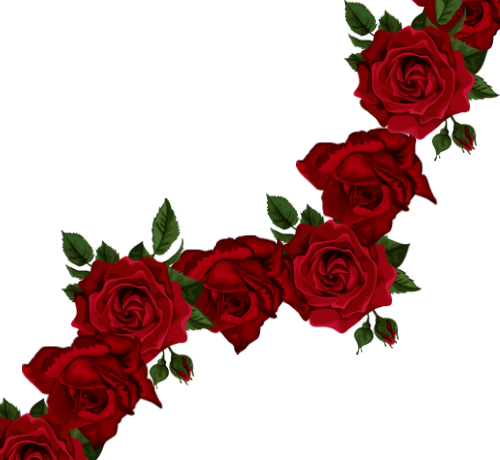 Untitled design 3_edited.png
